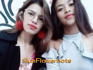 SunFlowerhots