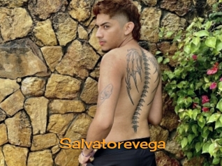salvatorevega Sortez Couvert