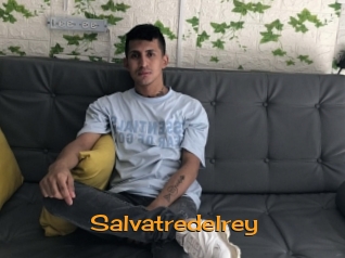 Salvatredelrey