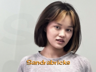 Sandrabricks