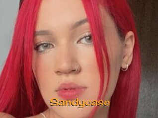 Sandycase