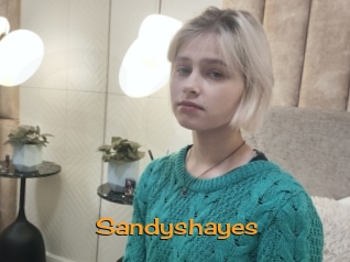 Sandyshayes