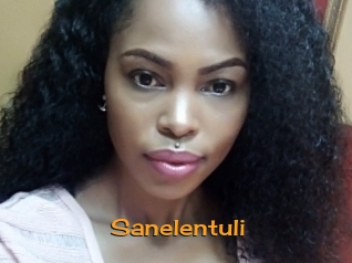 sanelentuli Sortez Couvert