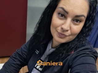 Saniera
