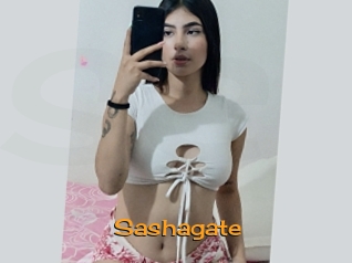 Sashagate