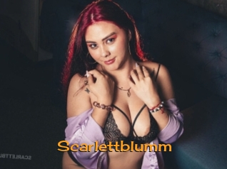 Scarlettblumm