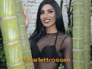 Scarlettrossee