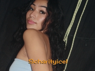 scharityicel Sortez Couvert