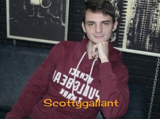 Scottygallant
