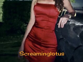 Screaminglotus