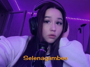 Selenagambee