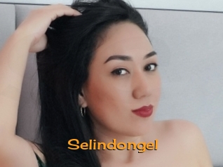 Selindongel