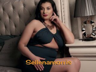 Sellenamorris