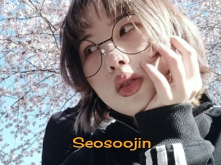 Seosoojin