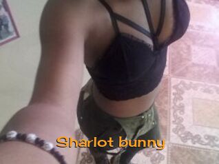 Sharlot_bunny