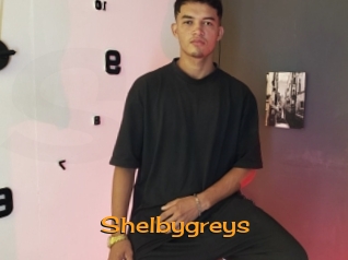 Shelbygreys