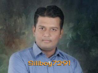 Siliboy7291