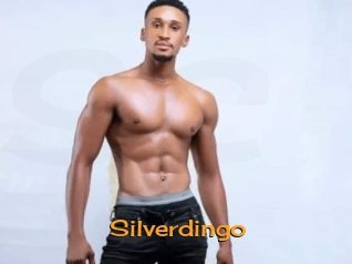 silverdingo Sortez Couvert