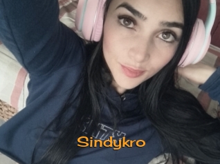 Sindykro