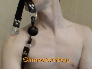 Slimswitchboy