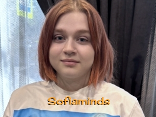 Sofiaminds