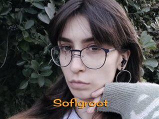 Sofigroot