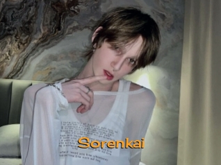 sorenkai Sortez Couvert