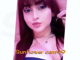 Sunflower_cam99