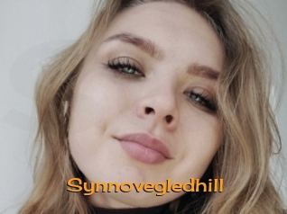 Synnovegledhill
