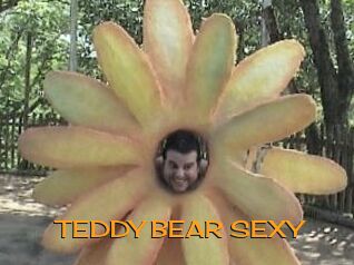 TEDDY_BEAR_SEXY