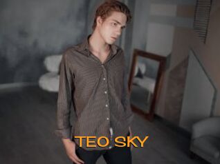 TEO_SKY