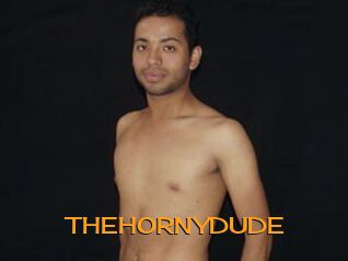 THEHORNYDUDE