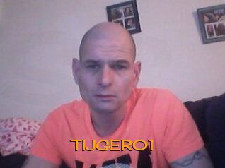TIJGER01 Sortez Couvert