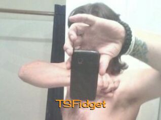TSFidget