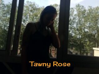 Tawny_Rose