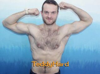 TeddyHard Sortez Couvert