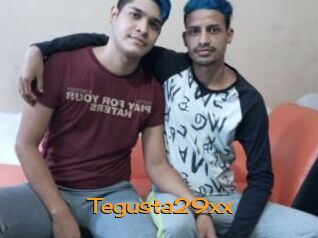 Tegusta29xx