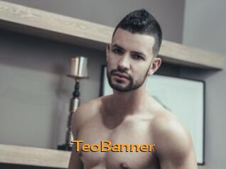 TeoBanner