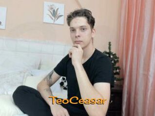 TeoCeasar Sortez Couvert