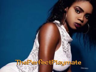 ThePerfectPlaymate Sortez Couvert