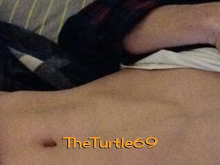 TheTurtle69