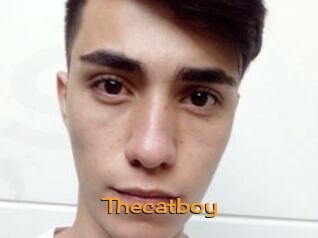 Thecatboy