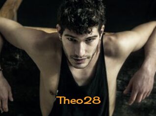 Theo28 Sortez Couvert