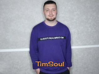TimSoul
