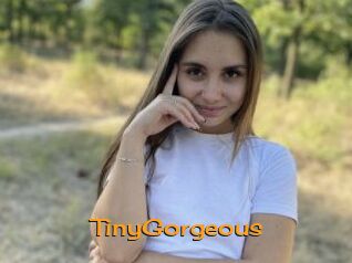 TinyGorgeous
