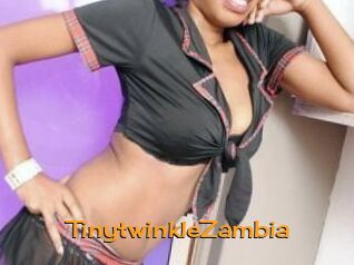 TinytwinkleZambia Sortez Couvert