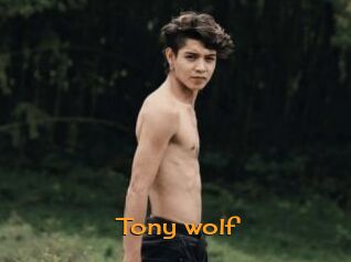 Tony_wolf