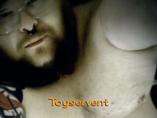 Toyservent