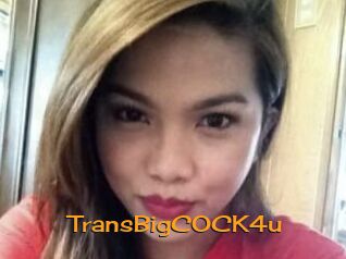 TransBigCOCK4u