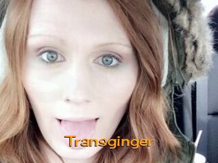 Transginger